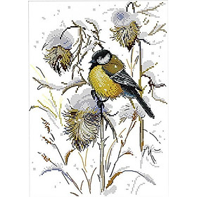 Animal Bird Stamped Cross Stitch Kits Dimensions for Adult Beginner 11CT 14CT