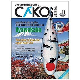 Cá koi - tập 11