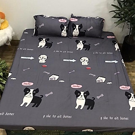 Bộ Ga Gối 3 Món Cotton Poly Bọc Đệm 1m6x2m và 1m8x2m gồm drap bo chun và 2 chiếc vỏ gối