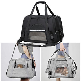 Pet Small  Carrier Travel Carrying Bag  Package