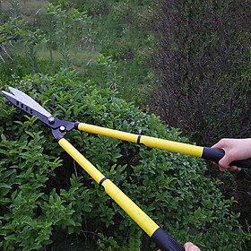 Mua Kéo cắt tỉa hàng rào cây cảnh GT