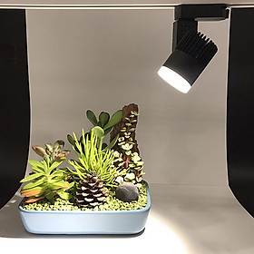 Mua ĐÈN LED RỌI RAY RRC INNOLAMP VỎ ĐEN ÁNH SÁNG TRẮNG/VÀNG/TRUNG TÍNH BẢO HÀNH 3 NĂM CHÍNH HÃNG