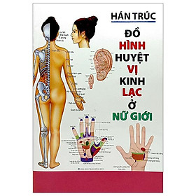 Đồ Hình Huyệt Vị Kinh Lạc Ở Nữ Giới