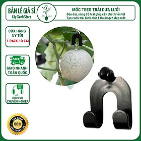 Mua Combo 10 Móc Treo Trái Dưa Lưới  Dưa Lê Cao Cấp Chuyên Dụng Treo Quả Tạo Cuống Ăng Ten  Có Thể Dùng Treo Trái Bầu Bí