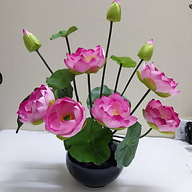 Mua Hoa lụa Bình hoa sen hàng cao cấp trang trí nội thất sang trọng