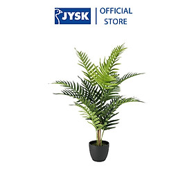 Mua Cây Trang Trí SANDER C70cm JYSK