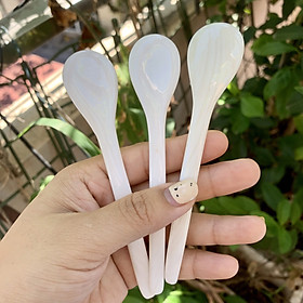Mua Thìa vỏ xà cừ truyền thống - size S (dài 13cm) CTH736 - ăn kem/xúc gia vị/thìa cafe - an toàn cho sức khỏe