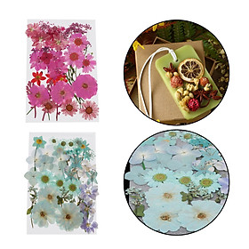 78x Pressed Dried Flowers Floral Crafts DIY Jewelry Scrapbooking Home Decor