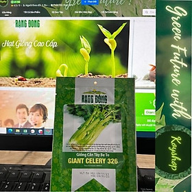 Mua Hạt giống cần Tây Bẹ To - GIANT CELERY 326- Rạng Đông  Giống mới  Thân mập mạp  Cây Thẳng đứng  gọn gàng