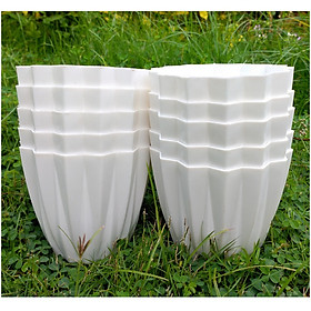 10 Chậu nhựa mini để bàn hình múi khế, KT:12x10 , chậu trồng xương rồng, sen đá, cây cảnh mini để bàn - Màu Trắng