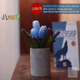 Mua Chậu xi măng mini trồng cây cảnh trang trí bàn văn phòng - Trụ tròn  Chỉ gồm Chậu Không kèm cây cảnh. Giá siêu rẻ