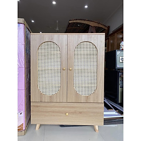 Mua Tủ kệ giày 2 cánh cánh mây HC -418