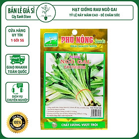 Mua Hạt Giống Ngò Gai (Mùi Tàu) Dễ Trồng  Thơm 5Gr - Phú Nông Seeds - Shop Đất sạch  Phân Bón  Hữu Cơ  Xơ Dừa