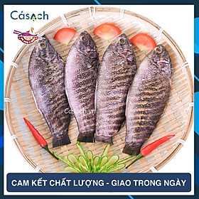 Cá sặc rằn làm sạch - CKFoods - 300 g