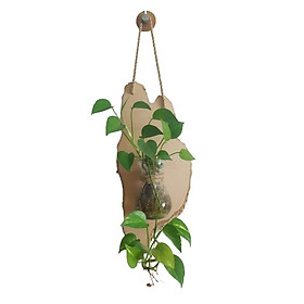 Mua Lọ Hoa Thủy Tinh  Bình Hoa Thủy Tinh Treo Tường (Phong cách mộc)