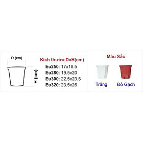 10 Chậu Nhựa Trồng Cây EU, Chậu Ươm Cây (Nhựa Dẽo, Dai, Bền Ít bám bụi)