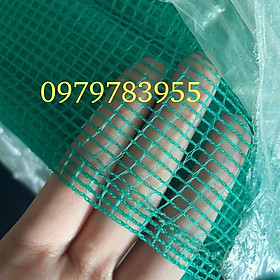 Mua Lưới Cước Xanh  Lưới Chắn Côn Trùng  Chắn Gà Vịt  Làm Hàng Rào