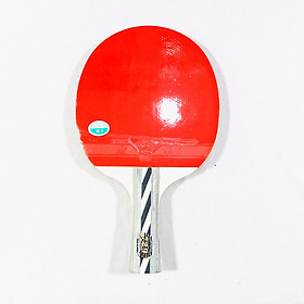 Vợt bóng bàn 729