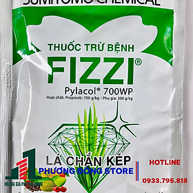 Thuốc phòng trừ bệnh Fizzi 700WP - gói 100g, gói 1kg