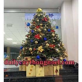 Cây thông noel PE cao cấp Cao 2m1 - Cây tự động bung - Loại cây đẹp sang trọng