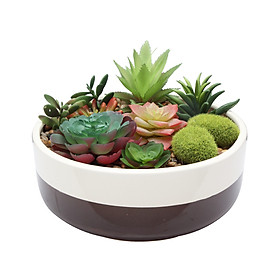 Chậu cây Sen Đá giả trang trí POTTER chậu xi măng mài tròn, cây nhựa PVC nhiều màu sống động, kích thước 26x14cm  | Index Living Mall - Phân phối độc quyền tại Việt Nam