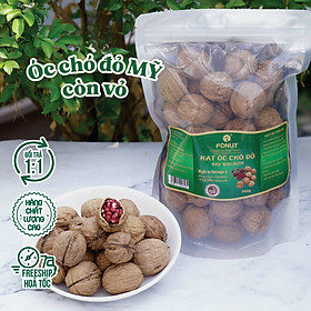 Hạt Óc chó đỏ  (bịch 500gr)