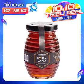 MẬT ONG THIÊN NHIÊN HOA RỪNG TÂY NGUYÊN HONEYLAND 250G