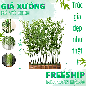 Mua Cây trúc giả xịn nhiều lá trang trí nhà cửa  cafe  nhà hàng - Giá 1 Cây