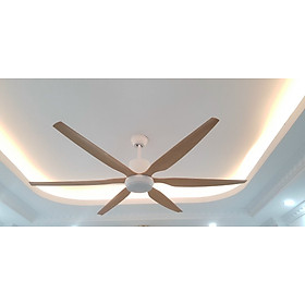 Mua Sải cánh dài  Quạt Trần Lõi Đồng INERTER  Nhiều Lựa Chọn Màu Có 6 Cấp Độ Gió  động cơ DC tiết kiệm điện  có ĐK từ xa