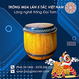 Mua Trống múa lân 5 tấc cao cấp Việt Nam