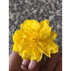 Mua Mai Cúc Nhị Đỏ