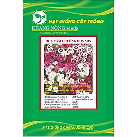 Hạt giống hoa cẩm chướng đơn mix màu KNS3598 - Gói 50 hạt