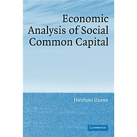 Economic Analysis of Social Common Capital