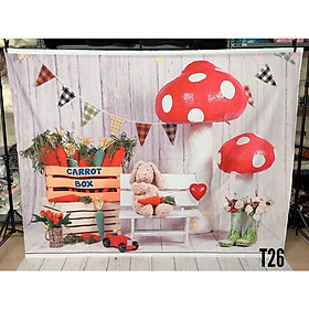 Mua Tranh vải decor / Thảm vải treo tường / Thảm vải chụp ảnh chủ đề Baby (mã T26)