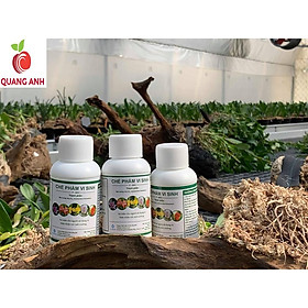 Set 10 Chai - CHẾ PHẨM VI SINH ĐẬU TƯƠNG P-GRO