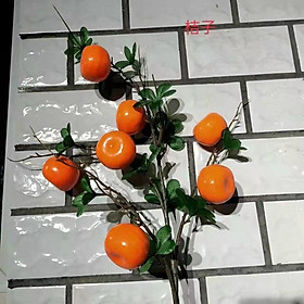 Mua   Siêu giống thật   CÀNH QUẢ QUÝT NGỌT 7-8 QUẢ VỎ SẦN THÂN MỐC