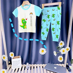 Bộ Tay Ngắn Quần Dài THUN LẠNH MINKY MOM tay ráp lăng in hình Cho Bé trai bé gái từ 20-28kg
