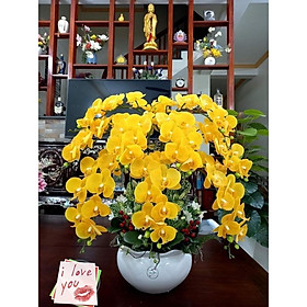 Mua Chậu hoa lan hồ điệp giả loại cao cấp xịn đẹp giống thật trang trí phòng khách  nhà hàng  khách sạn sang trọng CL-02