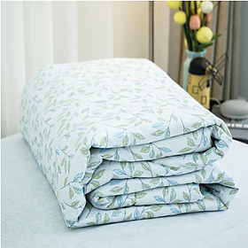 Mua Chăn Hè Microfiber Lá Mảnh Everon Lite ELM211 200 x 220cm