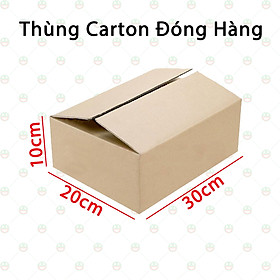 20 Thùng Hộp Carton 30x20x10 - Độ Dày 3 Lớp Sóng B - KhoNCC Hàng Chính Hãng - NTQT-BoxCarton-SG4