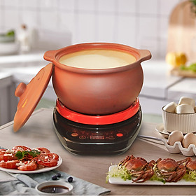 Mua Nồi đất kháng khuẩn bằng điện 2 lít NodaCook