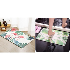 Mua Thảm đá siêu thấm cao cấp Nhật Bản họa tiết con hạc kích thước 40x60