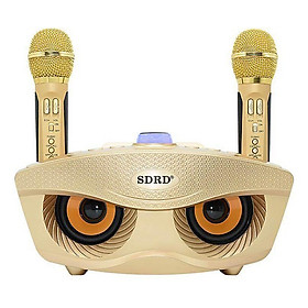 Mua Loa kẹo kéo karaoke bluetooth SDRD SD-306 F2 (Phiên bản 2) kèm 2 mic không dây - Hàng nhập khẩu