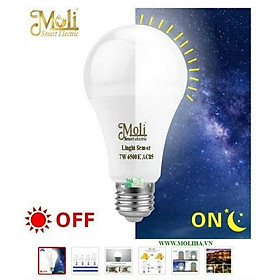 Mua ĐÈN CẢM ỨNG ÁNH SÁNG - NGÀY TẮT ĐÊM MỞ
