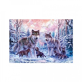Tranh Thêu Chử Thập 5D Kim Cương Giả DIY (30 x 40 cm)