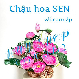 Mua Chậu HOA SEN Vải cao cấp trang trí nhà cửa