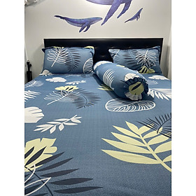 Bộ Drap Thun Lụa _Mát Lạnh {4 MÓN} ga và 3 áo gối #gagoi#drapgoi hoặc drap lẻ