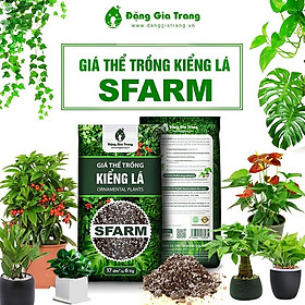 Mua 1Kg Giá Thể Trồng Cây Kiểng Lá Sfarm - Đất Hỗn Hợp Trồng Cây Cảnh