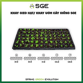 Khay Gieo Hạt/ Khay Ươm Cây Giống GT. Cho Năng Suất Cao, Cây Nhanh Lớn, Cây Con Khỏe, Dễ Sinh Trưởng. Thương Hiệu SGE