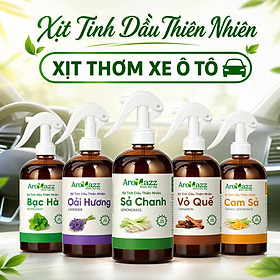 Xịt Tinh Dầu Khử Mùi ô tô Từ Tinh Dầu Thiên Nhiên Khử Mùi Thơm Xe Xua Đuổi Côn Trùng Nhiều Mùi Chai Lớn 300ml